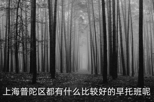 上海普陀區(qū)都有什么比較好的早托班呢