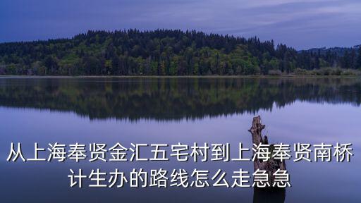 上海市奉賢區金匯鎮五宅村，從上海奉賢金匯五宅村到上海奉賢南橋計生辦的路線怎么走急急