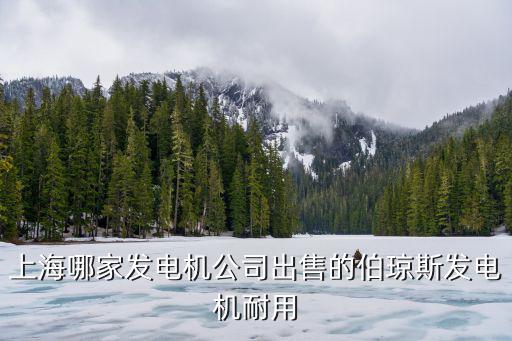 上海哪家發(fā)電機(jī)公司出售的伯瓊斯發(fā)電機(jī)耐用