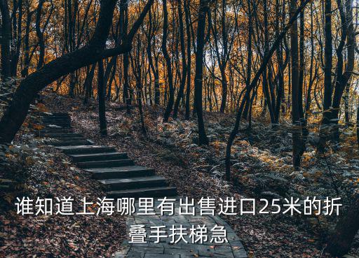 誰知道上海哪里有出售進口25米的折疊手扶梯急
