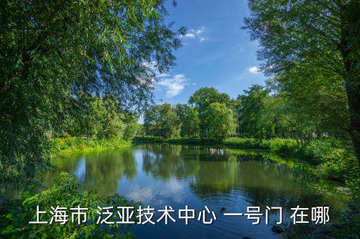 上海市誠龍，上海市建配龍市場在那里啊