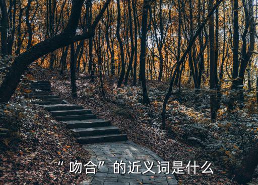 “ 吻合”的近義詞是什么