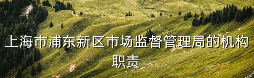 上海市工商行政監(jiān)督管理局職業(yè)規(guī)范，上海市工商行政管理局奉賢分局的主要職責(zé)