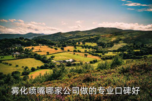 霧化噴嘴哪家公司做的專業口碑好