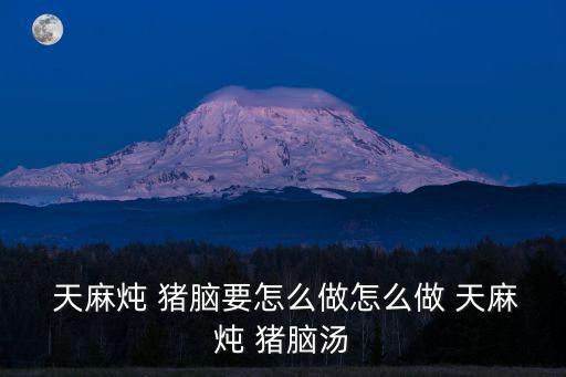  天麻燉 豬腦要怎么做怎么做 天麻燉 豬腦湯