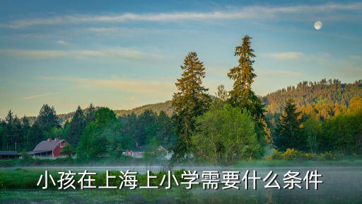 上海市實驗小學招生要求，怎么進黃浦區的上海市實驗小學啊