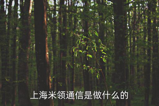 上海市米傳承，上海米領通信是做什么的