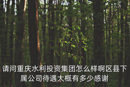 請問重慶水利投資集團怎么樣啊區(qū)縣下屬公司待遇大概有多少感謝