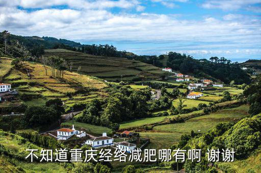 不知道重慶經(jīng)絡(luò)減肥哪有啊 謝謝