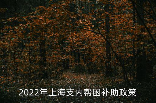 2022年上海支內(nèi)幫困補助政策