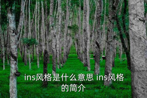 ins風(fēng)簡筆畫,ins風(fēng):簡約時(shí)尚不失得體