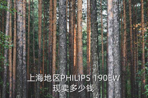 上海地區PHILIPS 190EW現賣多少錢