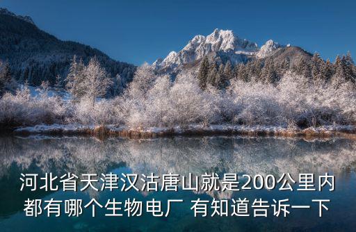 天津市火電儲(chǔ)能，全國火電公司的排名