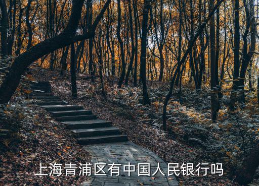 上海市青浦區金融支持，上海青浦區有無抵押貸款嗎y要求是什么