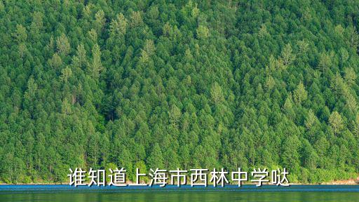 誰知道上海市西林中學噠