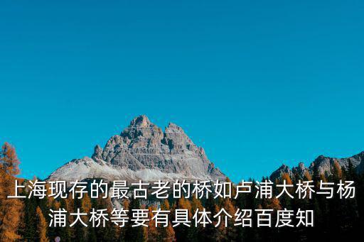 上海現存的最古老的橋如盧浦大橋與楊浦大橋等要有具體介紹百度知