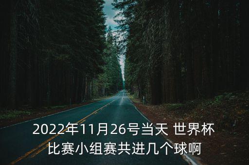 2022年11月26號當天 世界杯比賽小組賽共進幾個球啊
