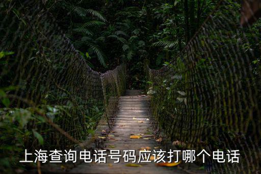 上海查詢電話號碼應該打哪個電話