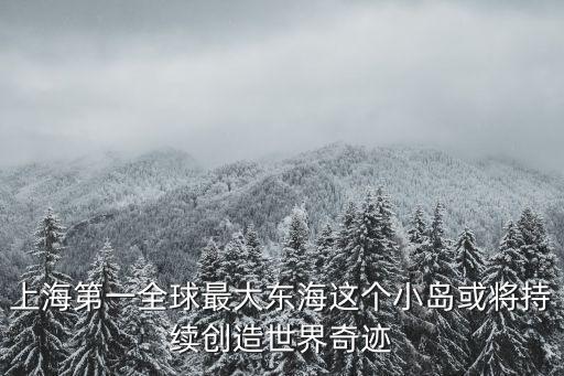 上海市洋山港集裝箱碼頭，上海港洋山港區四期碼頭有什么作用