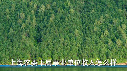 上海市道路事業(yè)發(fā)展中心顧勵，上海慶琪勞務(wù)派遣有限公司可靠嗎上海市松江區(qū)榮樂路滬松公路2369