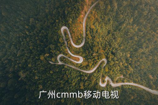 廣州cmmb移動電視