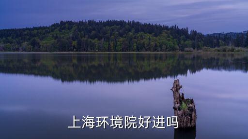 上海環(huán)境院好進嗎