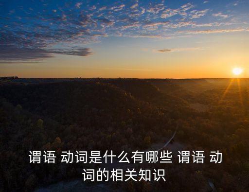  謂語 動(dòng)詞是什么有哪些 謂語 動(dòng)詞的相關(guān)知識(shí)