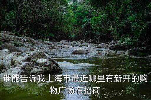 誰能告訴我上海市最近哪里有新開的購物廣場在招商