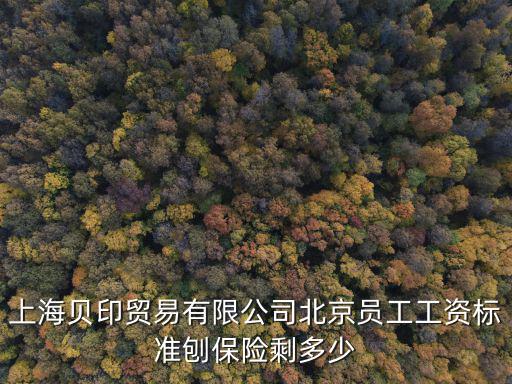 上海市貝馳貿(mào)易有限公司，上海番禺路390號(hào)時(shí)代大廈19樓EF座是什么公司謝謝本人正在找