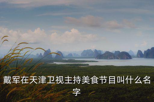 戴軍在天津衛(wèi)視主持美食節(jié)目叫什么名字