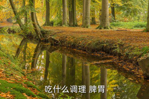 吃什么調理 脾胃