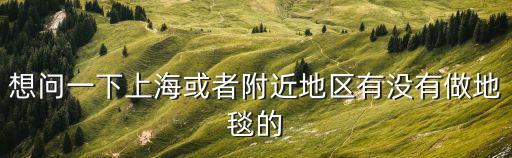 上海市阻燃地毯有哪些，想問一下上海或者附近地區有沒有做地毯的