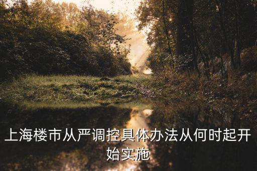 上海樓市從嚴調(diào)控具體辦法從何時起開始實施
