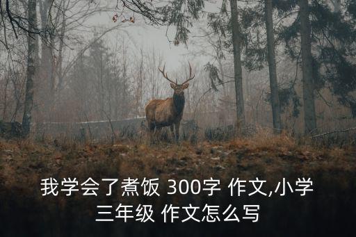 我學(xué)會了煮飯 300字 作文,小學(xué)三年級 作文怎么寫
