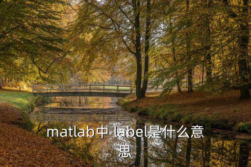 matlab中 label是什么意思