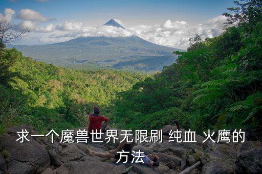 求一個魔獸世界無限刷 純血 火鷹的方法