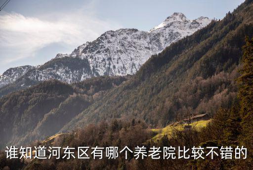 誰知道河東區(qū)有哪個養(yǎng)老院比較不錯的
