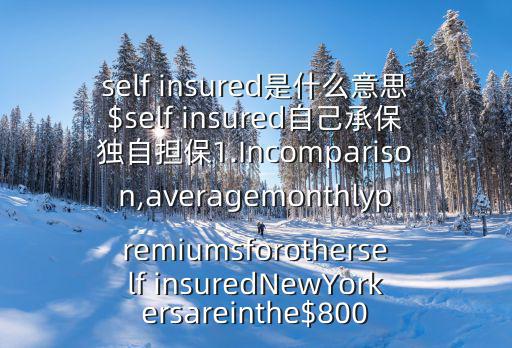 self insured是什么意思$self insured自己承保獨(dú)自擔(dān)保1.Incomparison,averagemonthlypremiumsforotherself insuredNewYorkersareinthe$800