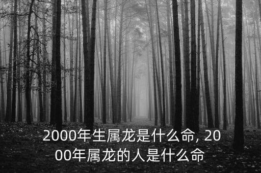  2000年生屬龍是什么命, 2000年屬龍的人是什么命
