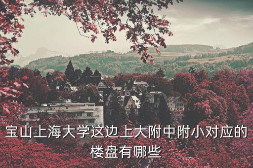 上海市寶山區上大陽光，請問上海市寶山區上海大學附近有何廟宇