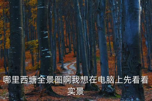 哪里西塘全景圖啊我想在電腦上先看看實景