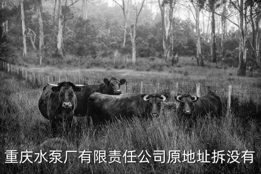 重慶市水泵廠是l，重慶水泵廠有限責任公司原地址拆沒有