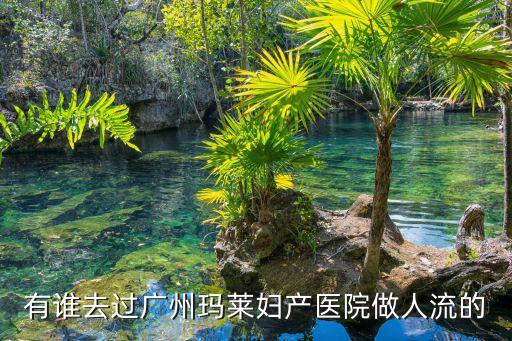 有誰去過廣州瑪萊婦產醫(yī)院做人流的
