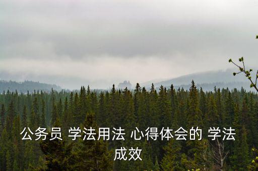 公務員 學法用法 心得體會的 學法成效