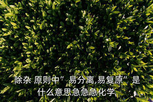 除雜原則,去除雜質(zhì)反應(yīng)式na2co3:不加入新雜質(zhì)