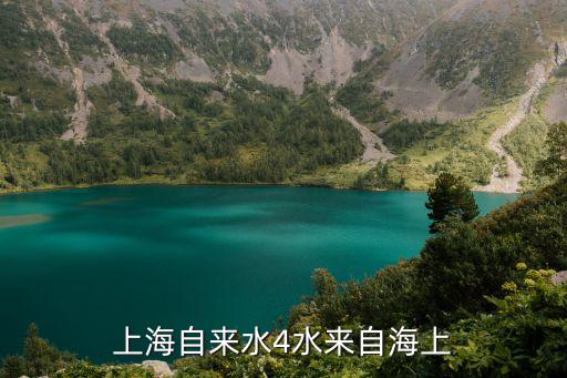 上海市供水總體規(guī)劃，上海自來水4水來自海上