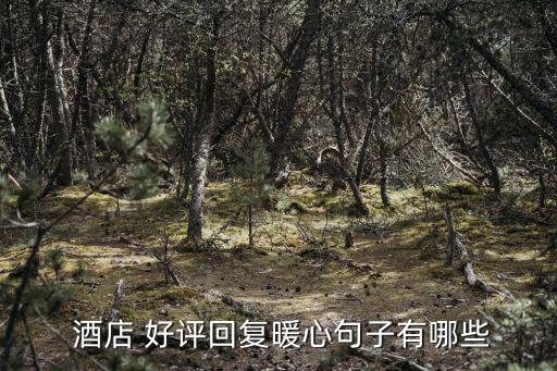  酒店 好評回復(fù)暖心句子有哪些