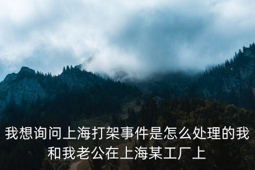 我想詢問上海打架事件是怎么處理的我和我老公在上海某工廠上