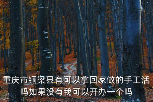 重慶市銅梁縣有可以拿回家做的手工活嗎如果沒有我可以開辦一個嗎