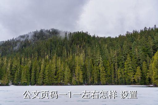  公文頁碼一1一左右怎樣 設置